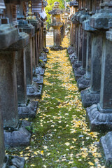 Fototapeta na wymiar 日本　奈良県奈良市の奈良公園内にある春日大社の灯籠と銀杏の落ち葉