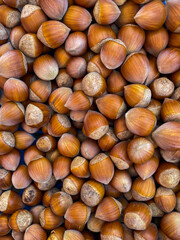 lots of hazelnuts delicious food vitamins healthy fats as background