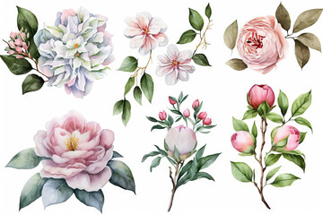 Watercolor floral illustration set - green leaves, Wedding invitations, greetings, wallpapers, fashion, prints. Generative AI