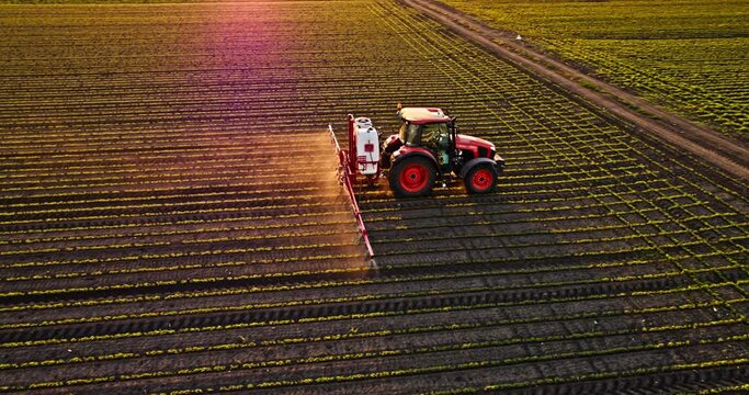 Farmer in tractor spraying industrial green soy bean farm field