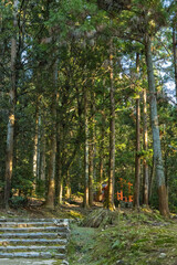 日本　奈良県奈良市の奈良公園内にある春日大社