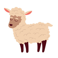 sheep farm animal