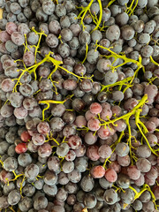 berries a lot of ripe grapes healthy food as a background