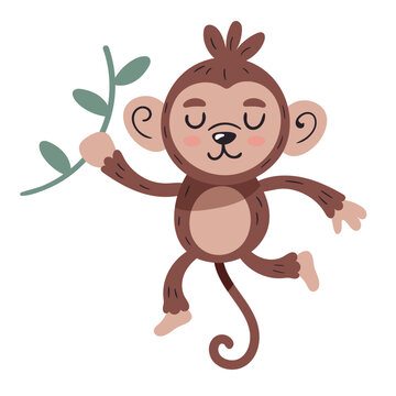 cute monkey animal