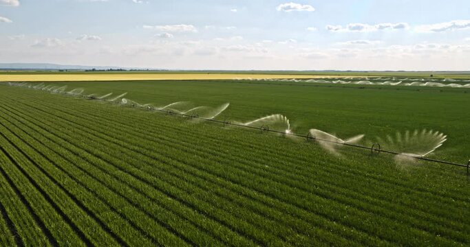 Agricultural irrigation system on an industrial onion farm field