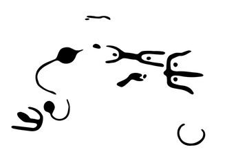 Vector illustration of rock paintings depicting wild plants. Prehistoric rock petroglyphs discovered in Armenia