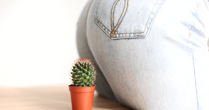 Female butt in jeans sitting on cactus closeup 4k movie slow motion