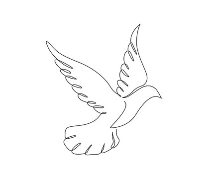 Continuous one line drawing of flying bird. Minimalist bird, pigeon outline design. Editable active stroke vector.