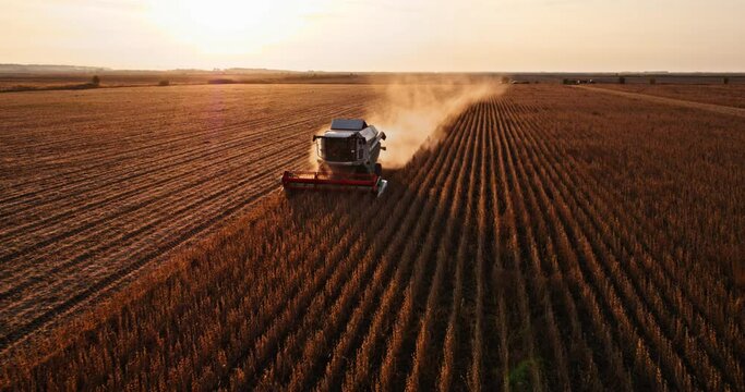 Farmer in combine harvester on an industrial soybean farm field