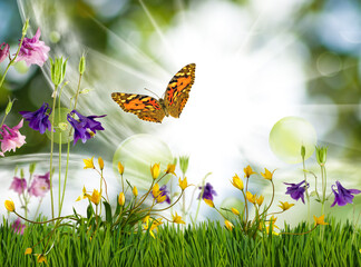 Image of wildflowers in the grass and a flying butterfly