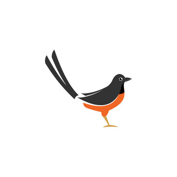 Cute Cartoon Magpie Bird Animal Pet Illustration