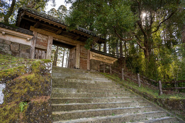 飫肥城跡 - 旧本丸跡 - 飫肥杉林