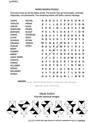 Puzzle page with two brain games: birds word search puzzle and visual puzzle.
