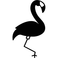 flamingo, phoenicopterus ruber, Creature, Specie, Bird,

