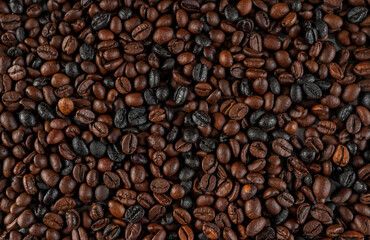 Fototapeta premium beans of coffe