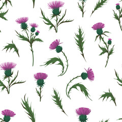 Thistle plant. Seamless pattern. Colorful illustration for fabric, paper design 