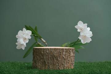 Wood podium table top and white orchid on grass in dark green isolated background.Natural beauty cosmetic or spa aromatherapy product present pedestal stand display, spring and summer concept.