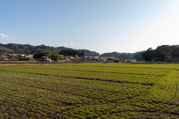 Fototapeta na wymiar 日本農村