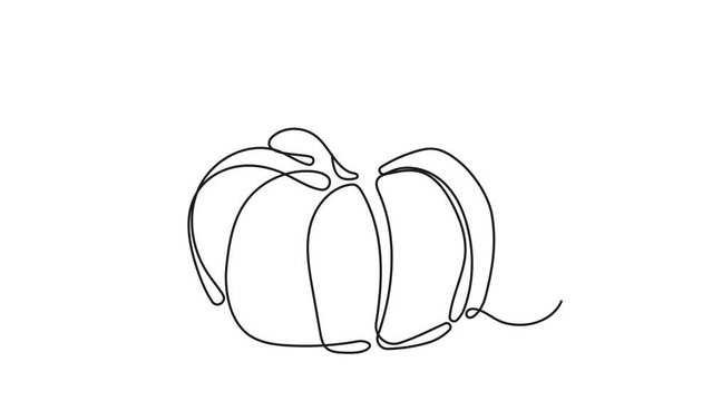 Onу line pumpkin animation. Continuous fruits and vegetables. Natural, healthy food for life and diets. Nutric products video in sketch style.