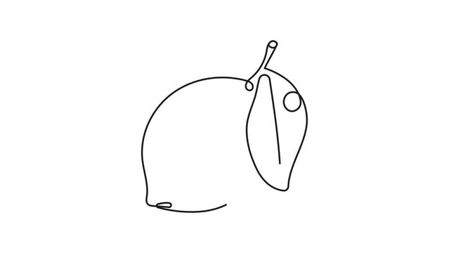 One line lemon animation. Continuous fruits and vegetables video. Natural, healthy food for life and diets clip. Nutric products in sketch style. Nutritionist menu.