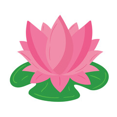 pink lotus flower