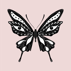 Black and white hand drawn butterfly. Decorative ornament. Insect. Design element.