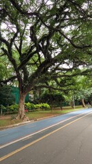 Obraz premium Ibirapuera Park, Sao Paulo 08