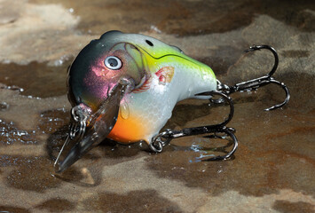 Large fishing bait that is wet