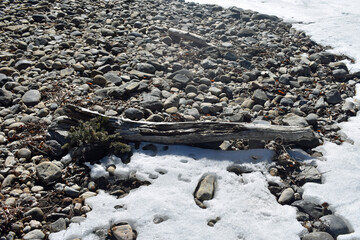Driftwood on Low Frozen Riverbed Grant Colorado 