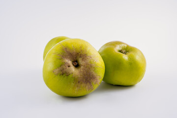 traditional Bramley green cooking apples used for pies stews jams chutneys crumbles isolated on a white backgrounnd