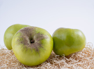 traditional Bramley green cooking apples used for pies stews jams chutneys crumbles  on a bed of straw with white background