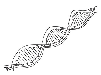 Continuous one line drawing of DNA