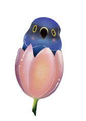 Bird in flower on a transparent background