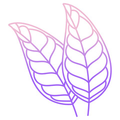 Citrus Leaf icon