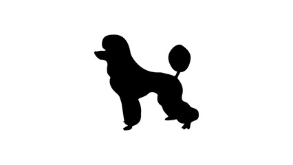 Poodle silhouette