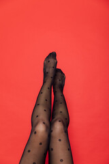 women's slender legs in black tights on a red background