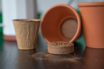 Pots with pressed earth for planting herbs seeds