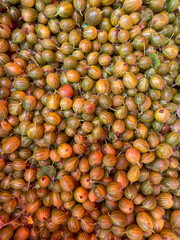 gooseberries many vitamins tasty and healthy food as a background