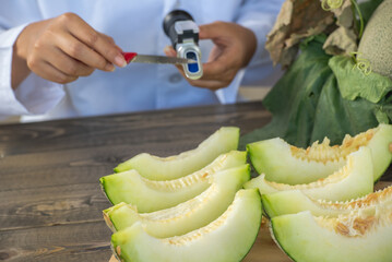 Scientist tester checking sweetness with Brix refractometer or Sweetness tester for testing the sugar in melon fruit and write data Brix in report.