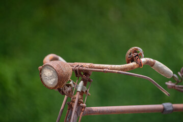 Old decay bicycle on green vine climbing garden wall outdoor. Rust Classic bike old bicycle on green garden wall retro style. Vine plant green leaves partition background.