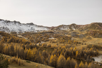 Fototapeta na wymiar Snowy range with autumn colors