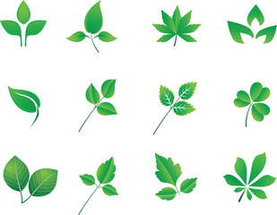 Set of green leaf icons. Leaves icon. Leaves of trees and plants. Collection green leaf. Elements design for natural, eco, bio, vegan labels. Vector illustration. stock illustration