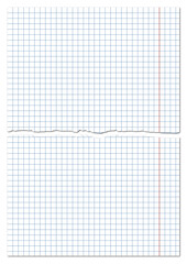 Torn sheet of paper from a notebook in a cell. Paper scraps. Ripped paper. School notebook.