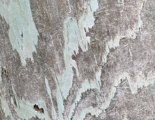 Abstract grungy pattern with faded paint on weathered wood