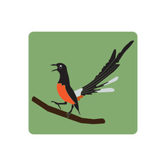 Stone magpie,icon