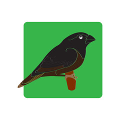 sparrow icon