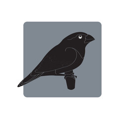 sparrow icon
