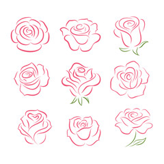 Set of rose flower design elements