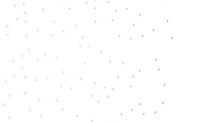 XMAS Stars - Holiday silver decoration, glitter frame isolated -