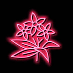 neroli flowers aromatherapy neon glow icon illustration
